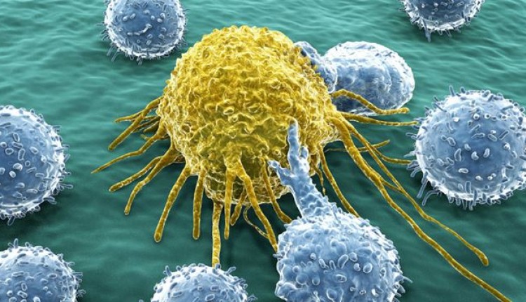 درمان جدید سرطان با تقویت و تحریک سیستم ایمنی