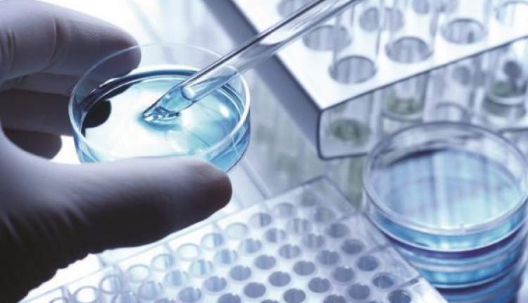 خیز تولیدکنندگان نانو داروی ضدسرطان ایرانی به کشورهای اروپایی