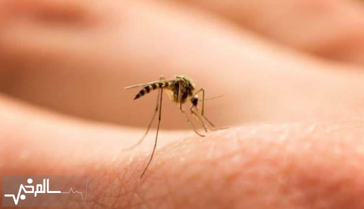 زنگ خطر مالاریا در سیستان و بلوچستان به صدا درآمد