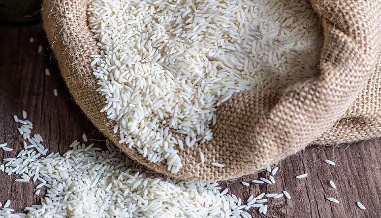برنج استان گیلان بالاترین و برنج استان گلستان پایین‌ترین میزان آرسنیک را دارد