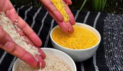 هیچ‌گونه برنج طلایی از فیلیپین وارد کشور نشده است