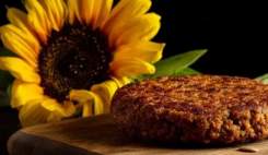 سالمخبر: پژوهشگران برزیلی و آلمانی در پژوهشی مشترک، موفق به تولید یک جایگزین گوشتی شدند که نه از سویا، نه از نخود و نه از قارچ، بلکه از آفتابگردان ساخته ...