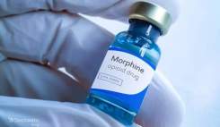 سالمخبر: سخنگوی کمیسیون بهداشت مجلس گفت: اگر تأمین مواد اولیه جدی گرفته نشود، طی سه ماه آینده با بحران کمبود مورفین و داروهای کدئیندار مواجه خواهیم ...