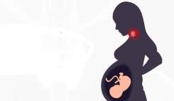 سالمخبر: یافتههای یک مطالعه که در مجله The Journal of Clinical Endocrinology & Metabolism منتشر شده، نشان میدهد بههمریختگی هورمونهای تیروئید در ...